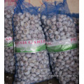 10kg Mesh Bag Normal ail blanc